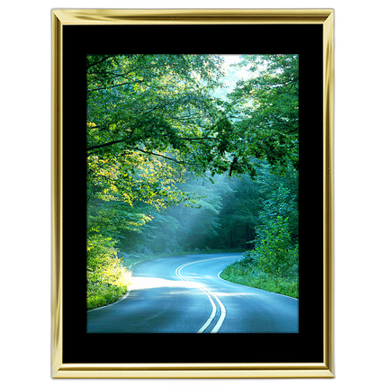 18x24 Custom Gold Metal Frame, Black Mat with Glass