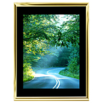 18x24 Custom Gold Metal Frame, Black Mat with Glass 0