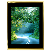 18x24 Custom Gold Metal Frame, Black Mat with Glass 0