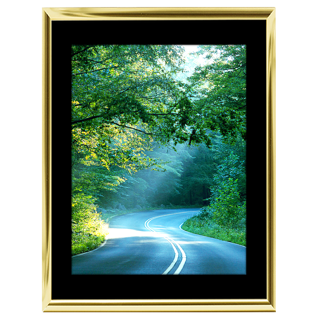 18x24 Custom Gold Metal Frame, Black Mat with Glass