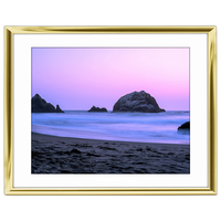 20x16 Custom Gold Metal Frame, White Mat with Glass 0