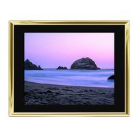 20x16 Custom Gold Metal Frame, Black Mat with Glass 0