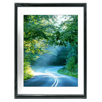 30x40 Custom Black Metal Frame, White Mat with Plexiglass 0