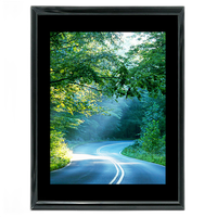 30x40 Custom Black Metal Frame, Black Mat with Plexiglass 0