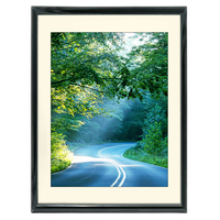 30x40 Custom Black Metal Frame, Off-White Mat with Plexiglass 0