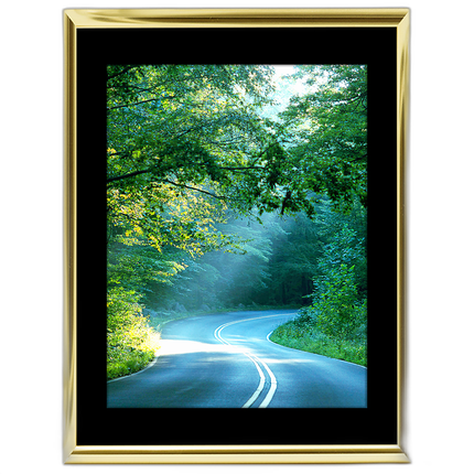 30x40 Custom Gold Metal Frame, Black Mat with Plexiglass