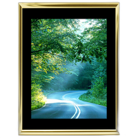 30x40 Custom Gold Metal Frame, Black Mat with Plexiglass 0