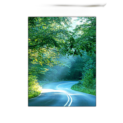 30x40 Custom Gold Metal Frame, Off-White Mat with Plexiglass