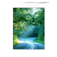 30x40 Custom Gold Metal Frame, Off-White Mat with Plexiglass 0