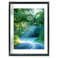 36x48 Custom Black Metal Frame, White Mat with Plexiglass 0