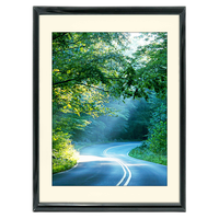 36x48 Custom Black Metal Frame, Off-White Mat with Plexiglass 0