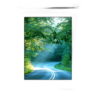 36x48 Custom Silver Metal Frame, Off-White Mat with Plexiglass 0
