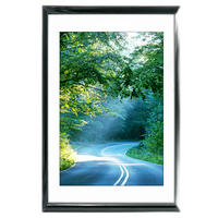 40x60 Custom Black Metal Frame, White Mat with Plexiglass 0