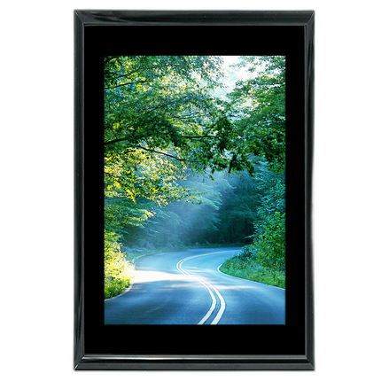 40x60 Custom Black Metal Frame, Black Mat with Plexiglass