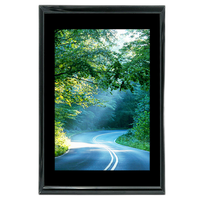 40x60 Custom Black Metal Frame, Black Mat with Plexiglass 0