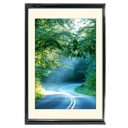 40x60 Custom Black Metal Frame, Off-White Mat with Plexiglass
