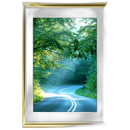 40x60 Custom Gold Metal Frame, White Mat with Plexiglass