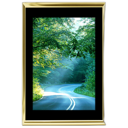 40x60 Custom Gold Metal Frame, Black Mat with Plexiglass