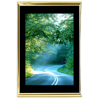 40x60 Custom Gold Metal Frame, Black Mat with Plexiglass 0
