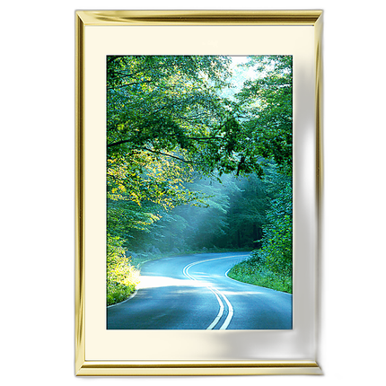 40x60 Custom Gold Metal Frame, Off-White Mat with Plexiglass