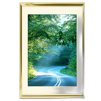 40x60 Custom Gold Metal Frame, Off-White Mat with Plexiglass 0