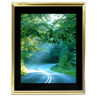 8x10 Custom Gold Metal Frame, Black Mat with Glass 0