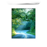 8x10 Custom Silver Metal Frame, White Mat with Glass 0