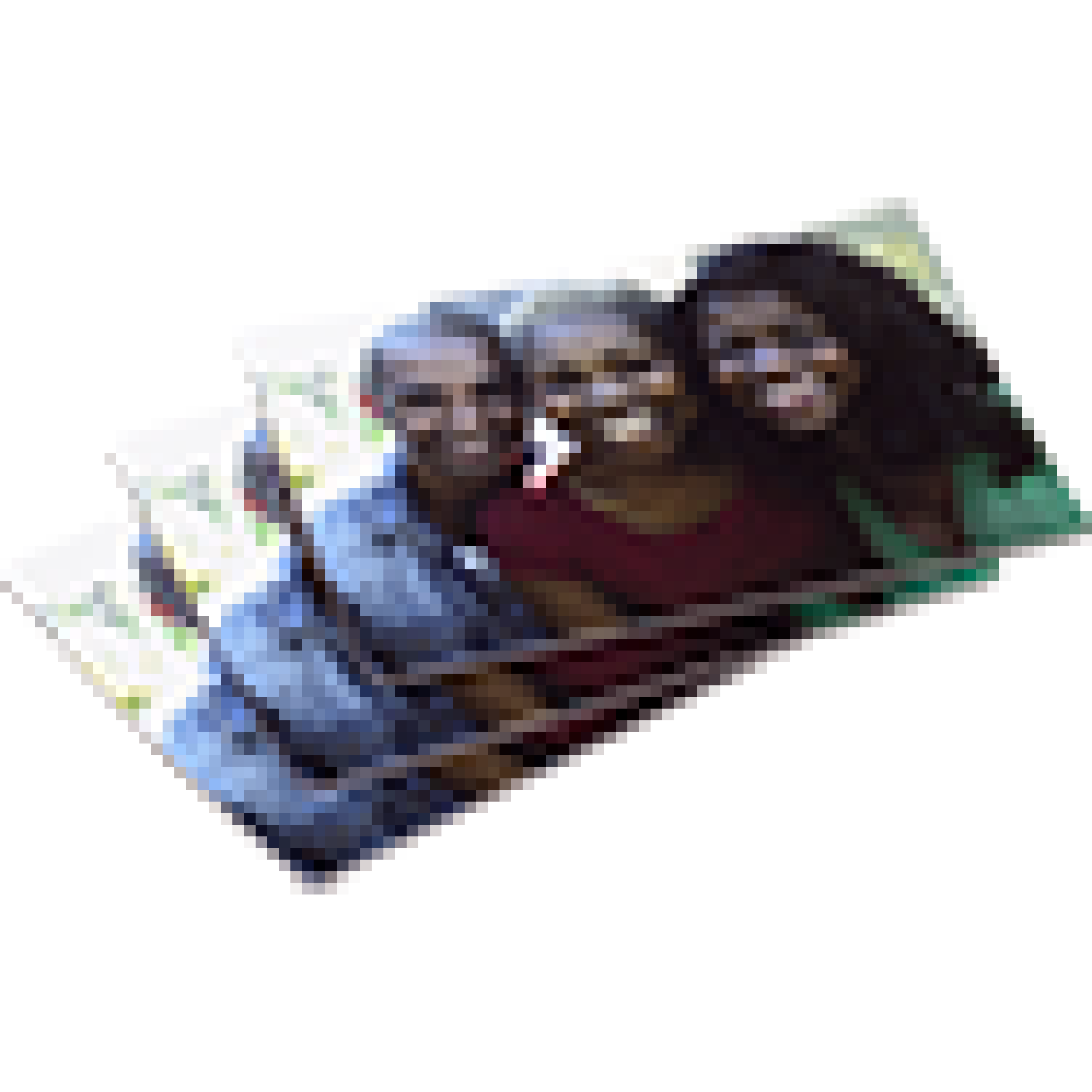 4x3 Photo Magnet (Set of 3)