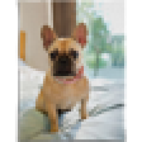 60x80 Soft Fleece Blanket 0