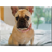 80x60 Super Plush Fleece Blanket 0