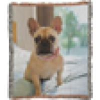 80 x 60 Sherpa Fleece Blanket 0