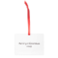 3 x 4 Two-Sided Metal Ornament - Two Images 0