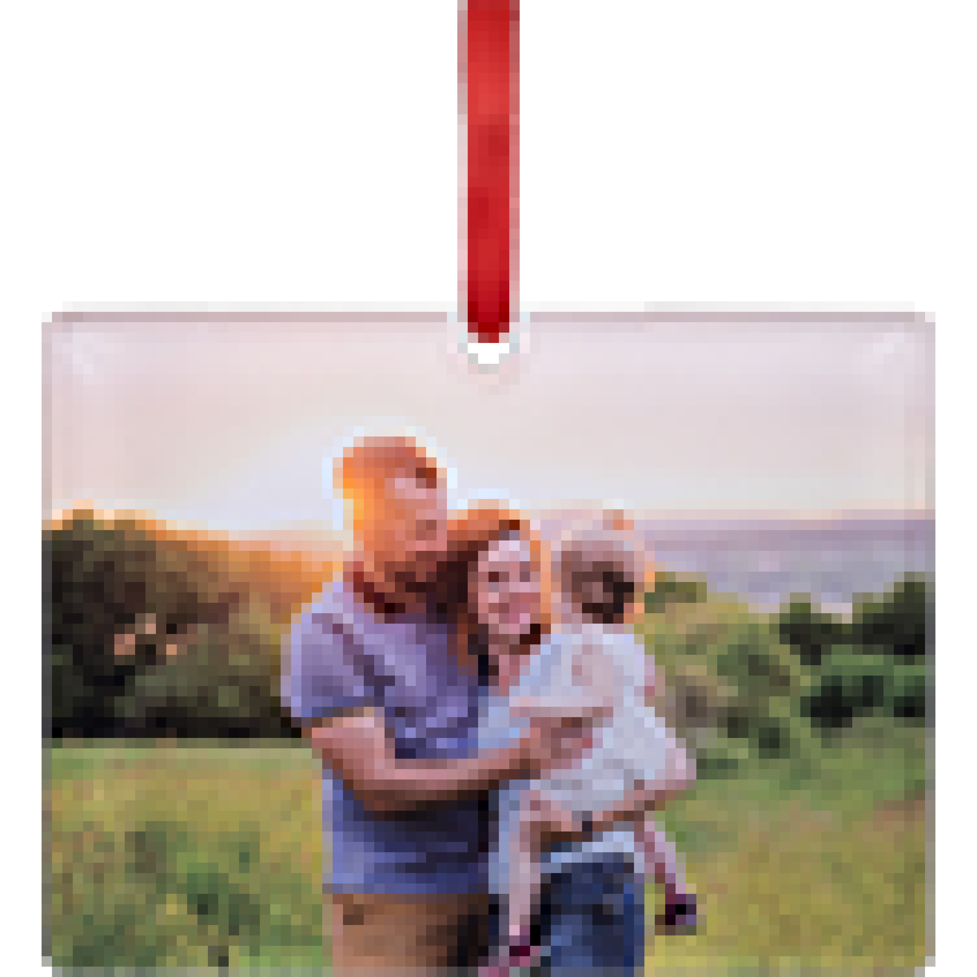 Acrylic Rectangle Ornament