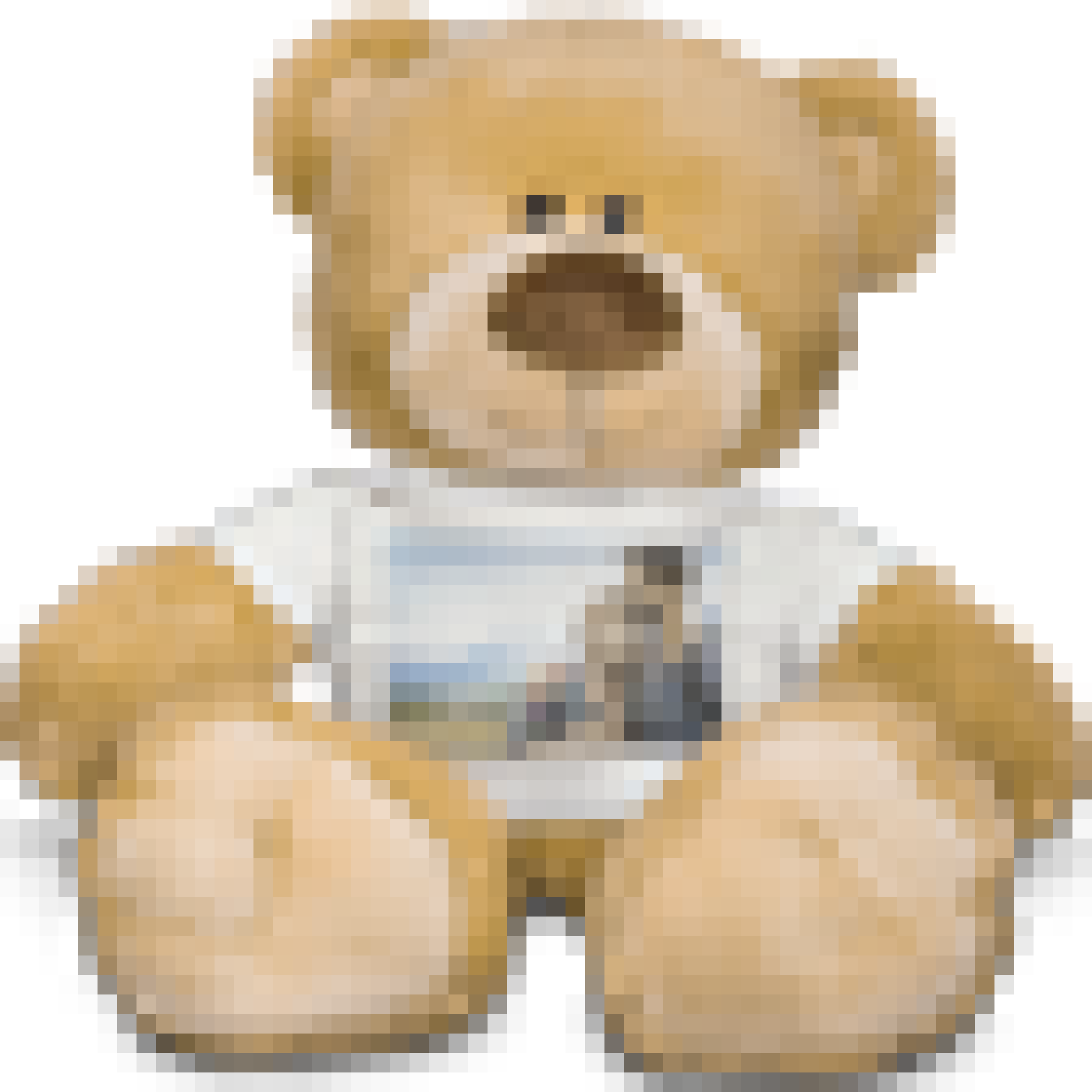 Premium Teddy Bear with T-Shirt