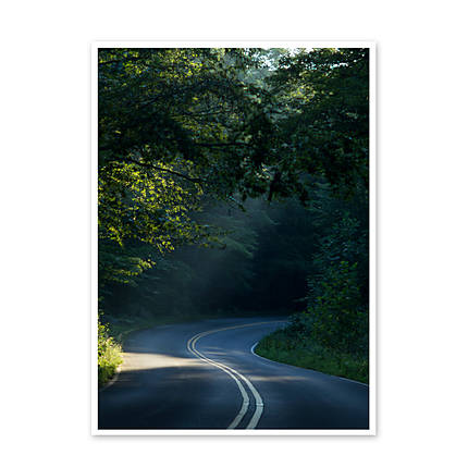 Unique Photo Lab 4x6 Print Matte