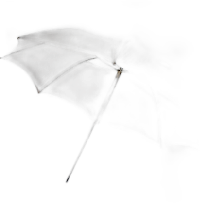 Elinchrom Umbrella - Translucent - 33