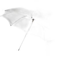 Elinchrom Umbrella - Translucent - 33 0