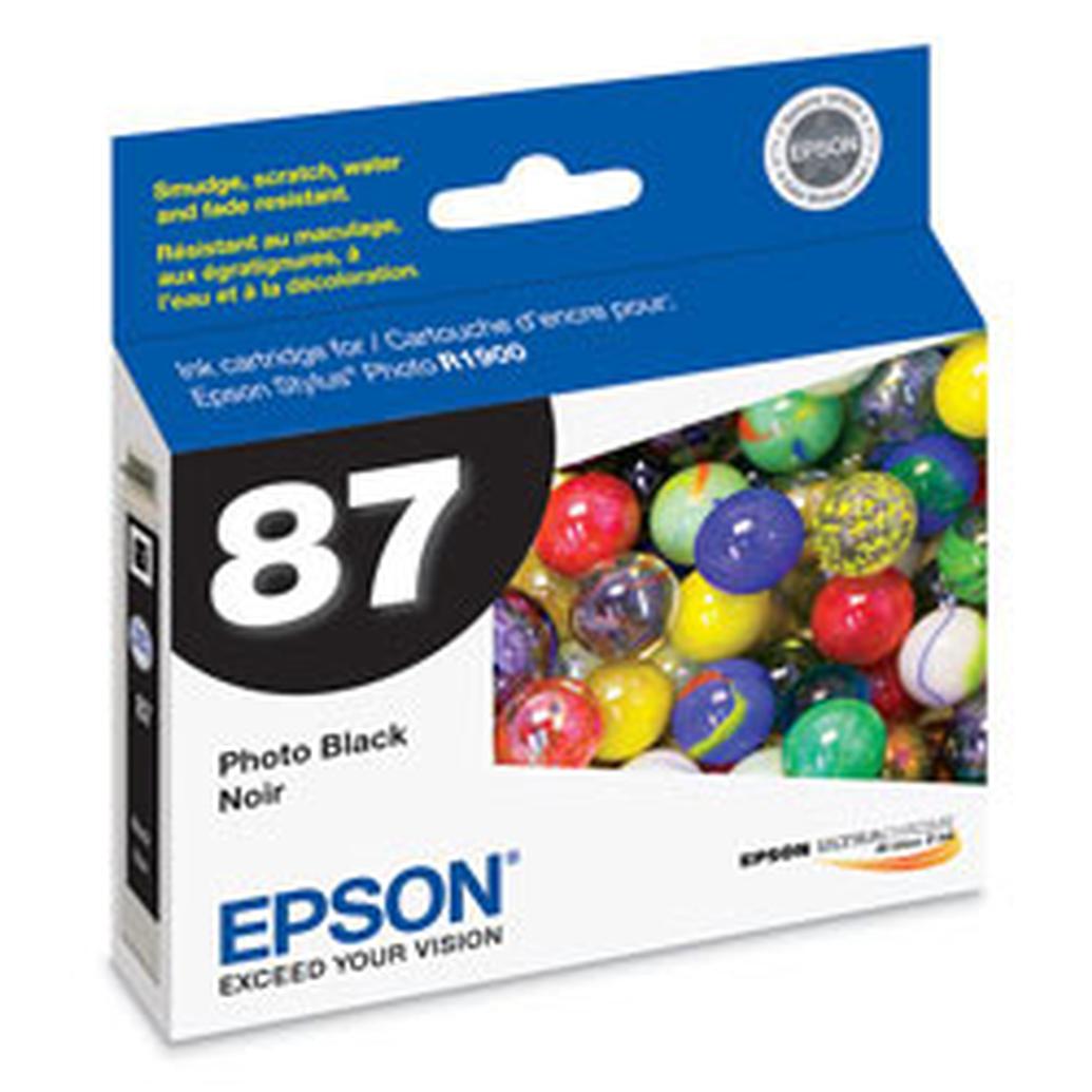 Epson T087 UltraChrome Hi-Gloss 2 Photo Black Ink for Stylus Photo R1900