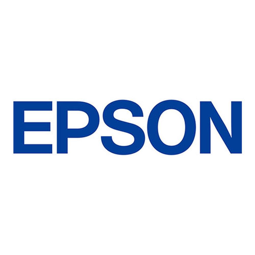 Epson Metallic Photo Paper, Lustre 17x22