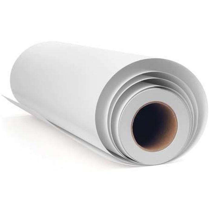 Epson 13x20 Exhibition Canvas Matte Paper - Roll
