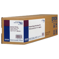 Epson 16.5x100 Premium Glossy Paper - Roll 0