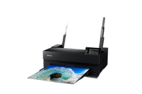 Epson Surecolor P900 17-Inch Standard Edition Printer 1
