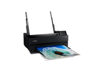 Epson Surecolor P900 17-Inch Standard Edition Printer 2