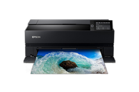 Epson Surecolor P900 17-Inch Standard Edition Printer 3