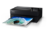 Epson Surecolor P900 17-Inch Standard Edition Printer 4