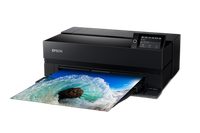 Epson Surecolor P900 17-Inch Standard Edition Printer 4