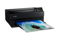 Epson Surecolor P900 17-Inch Standard Edition Printer 5