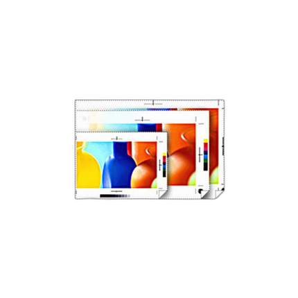Epson 17x100 Standard Proofing Adhesive Paper Roll