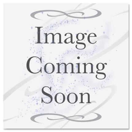 Epson 17x100 Crystal Clear Film Adhesive - Roll