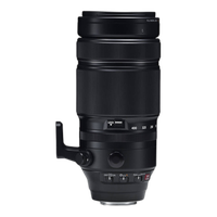 Fujifilm FUJINON XF 100-400mm f/4.5-5.6 R LM OIS WR Lens 2